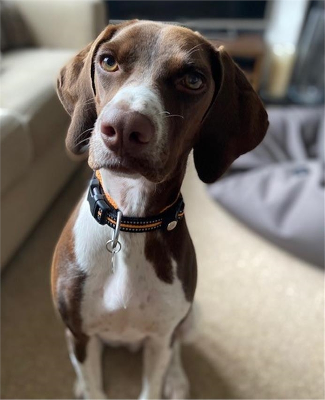 Profile picture
